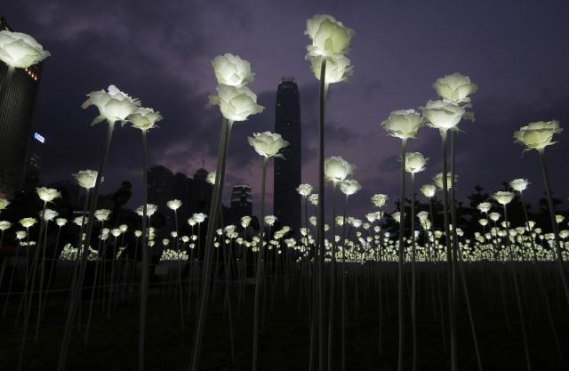 Hongkong pod svetlošću 25.000 belih “ruža” (FOTO)